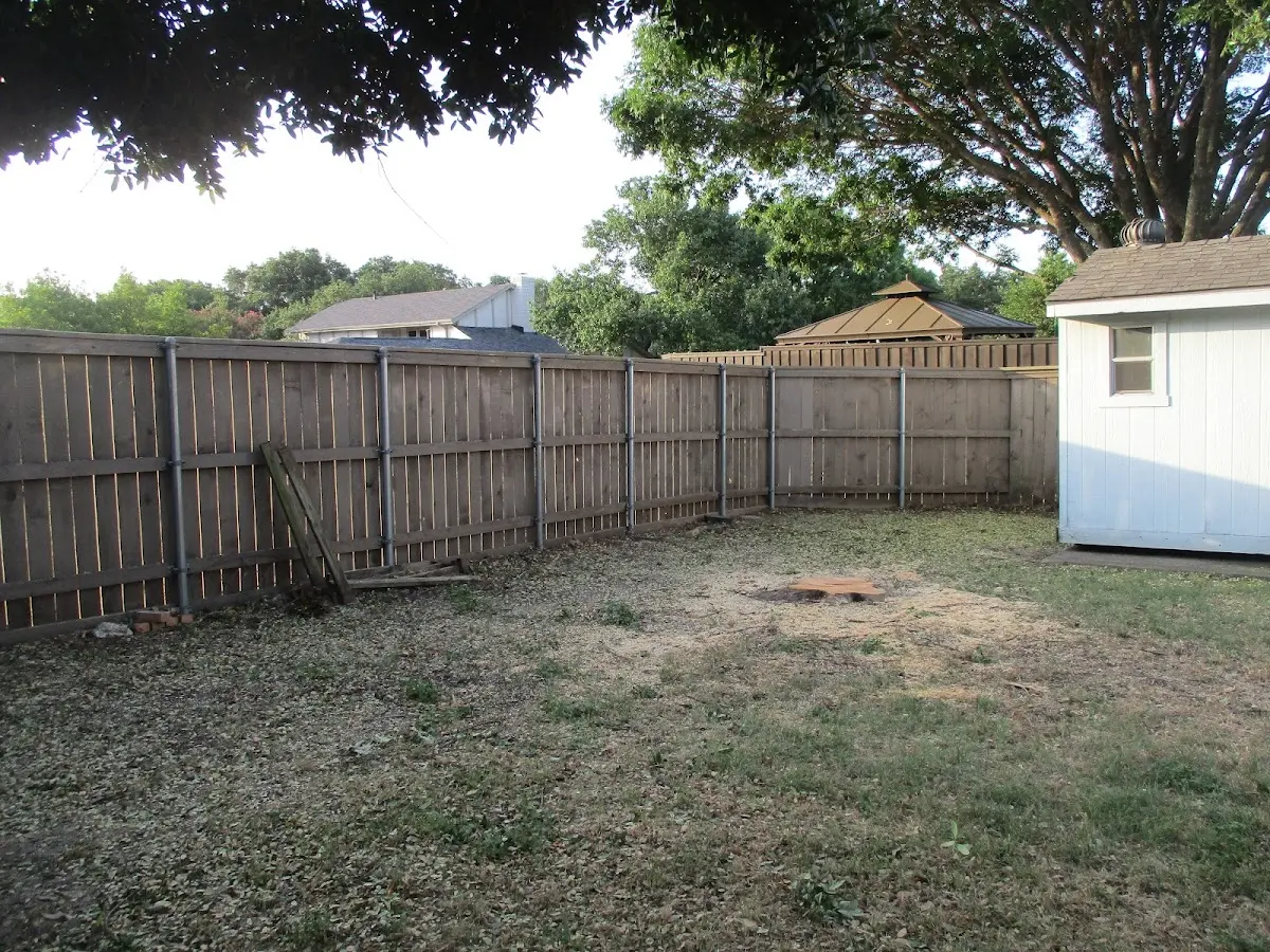 Cleared yard after professional tree removal in New Suffolk