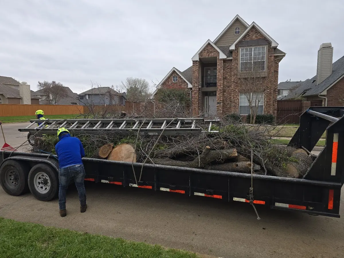 Expert Tree Fertilization with proper safety equipment in New Suffolk